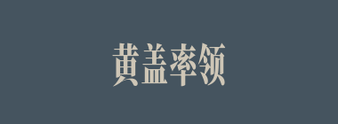 黄盖率领多少只火船向曹寨冲去？