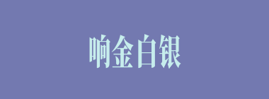 响金白银什么意思？响金白银怎么读？