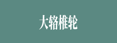 大辂椎轮什么意思？大辂椎轮怎么读？