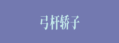 弓杆轿子什么意思？弓杆轿子怎么读？