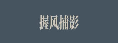 握风捕影什么意思？握风捕影怎么读？