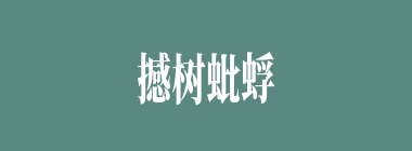 撼树蚍蜉什么意思？撼树蚍蜉怎么读？