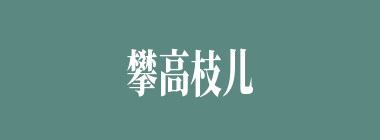 攀高枝儿什么意思？攀高枝儿怎么读？
