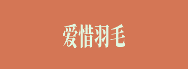 爱惜羽毛什么意思？爱惜羽毛怎么读？