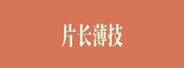 片长薄技什么意思？片长薄技怎么读？