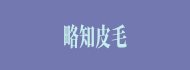 略知皮毛什么意思？略知皮毛怎么读？