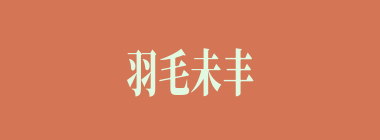 羽毛未丰什么意思？羽毛未丰怎么读？