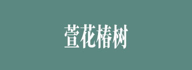 萱花椿树什么意思？萱花椿树怎么读？