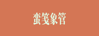 蛮笺象管什么意思？蛮笺象管怎么读？