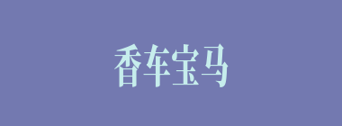 香车宝马什么意思？香车宝马怎么读？
