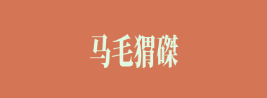 马毛猬磔什么意思？马毛猬磔怎么读？